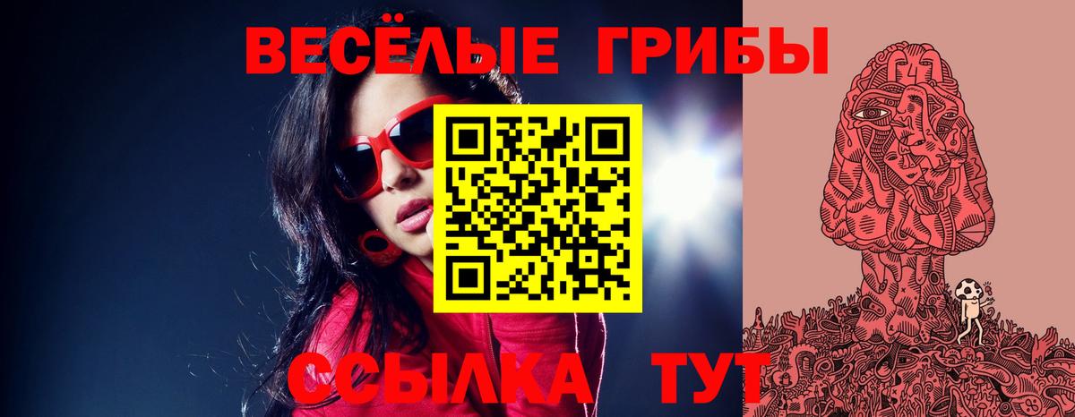 Галлюциногенные грибы MAGIC MUSHROOMS  Вход с VPN  Севастополь 